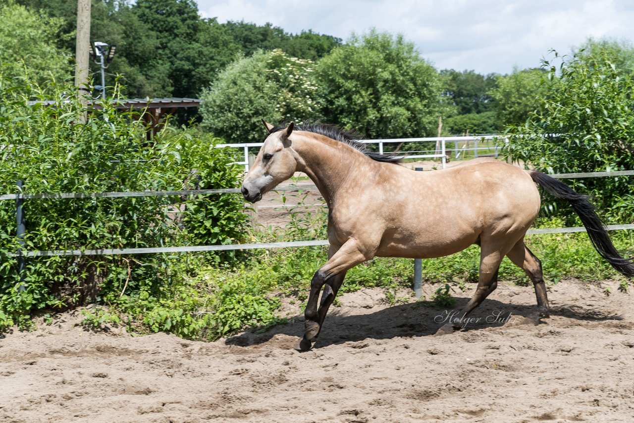 Bild 174 - Vivi